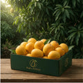 Anwar Ratol Mangoes (5KG Box)